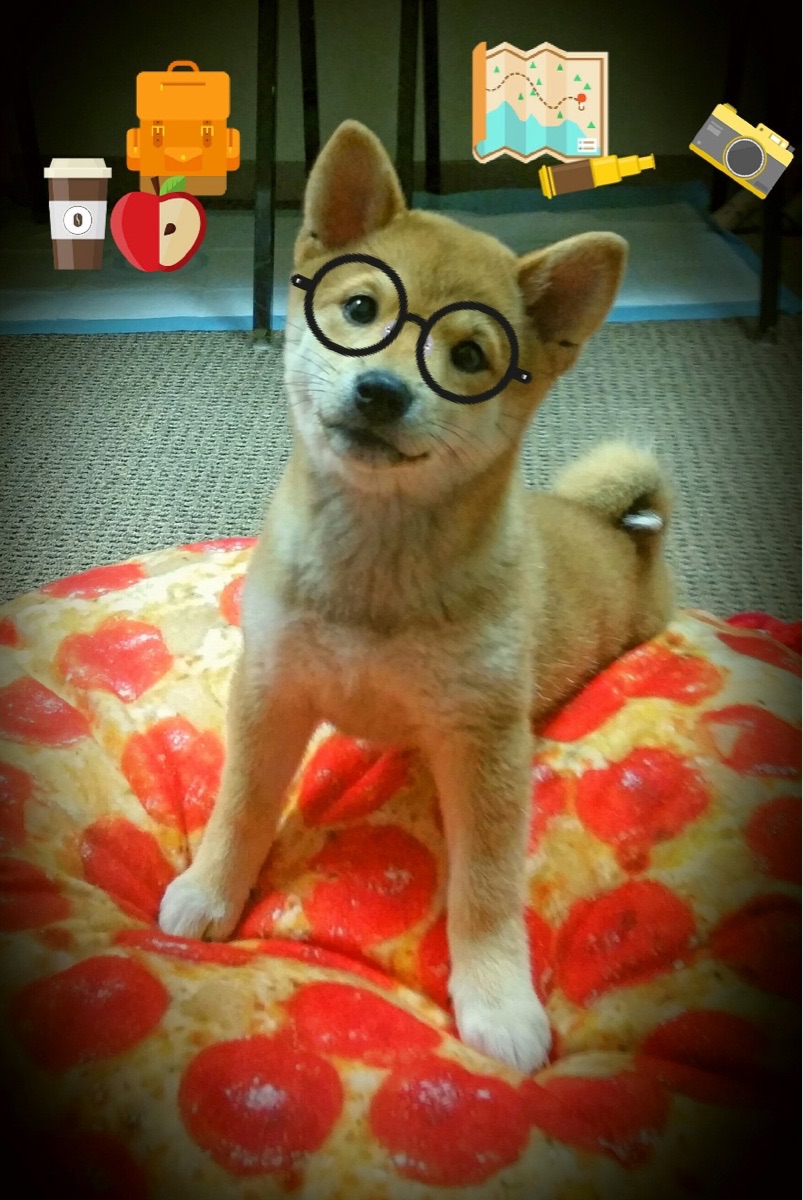 开云体育入口-跨界统治力！快船压境轻取广东，詹姆斯F1街道赛上演极限接管