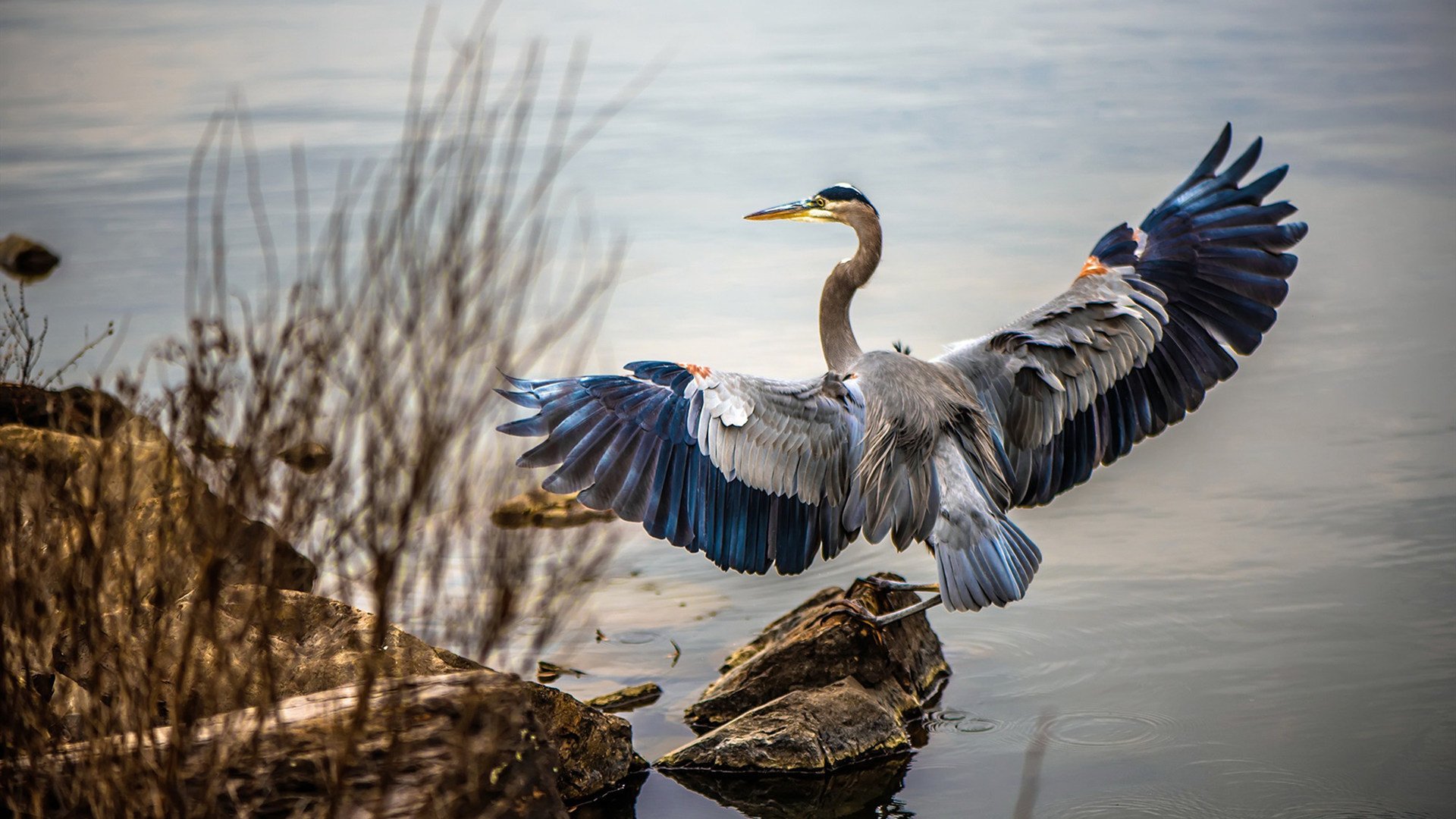 开云体育-绝境长城，当字母哥在生死战撕碎广东队最后的骄傲