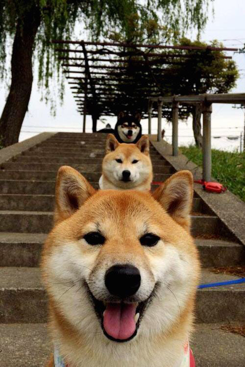 狂轰40+15！莫兰特率猛龙末节逆转，恩比德空砍34分徒呼奈何